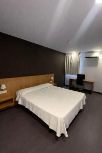 a bedroom with a large bed and a desk at Hostal Mediterranea in Madrid