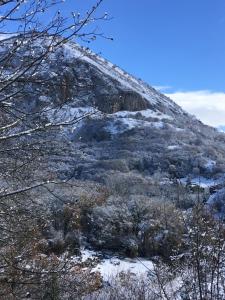 a snow covered hill with trees and bushes at logis des comtes in Bramevaque