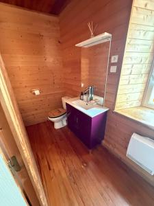 a bathroom with a sink and a toilet at logis des comtes in Bramevaque
