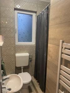 a bathroom with a toilet and a sink and a window at Harkály Nyaraló in Tiszakécske +7 photos