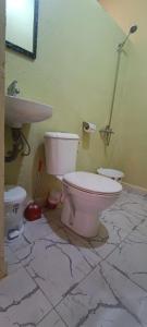 a bathroom with a toilet and a sink at Diafat ISSIRIDEN in Tazrouft