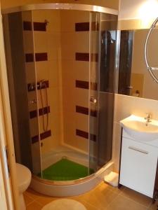 a bathroom with a shower with a toilet and a sink at Apartamenty Kompas in Międzywodzie