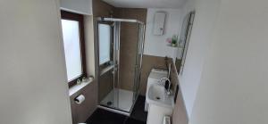 a bathroom with a shower and a toilet and a sink at Mitten im Sauerland in Finnentrop