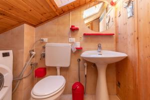 a small bathroom with a toilet and a sink at Ciasa Gaia in Mazzin
