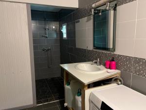 a bathroom with a sink and a shower with a mirror at Coconut Studio in Capesterre-Belle-Eau +6 photos