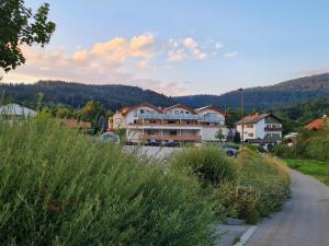 a house on a hill with a road in front at Schmuckstück Ferienapartments Bodenmais inkl aktivCARD in Bodenmais