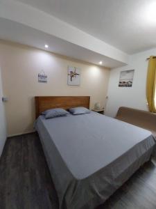 a bedroom with a large bed in a room at Appartment Camellia in Flic-en-Flac +10 photos
