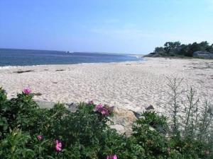 a sandy beach with pink flowers and the ocean at Walk to Beach and Town, Hot tub, Sleeps 8, Pet Friendly in Chatham