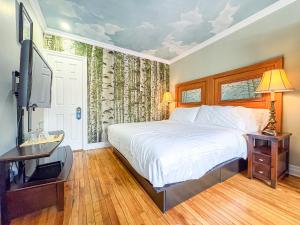 a bedroom with a bed and a flat screen tv at Maison Des Jardins B & B in Montreal
