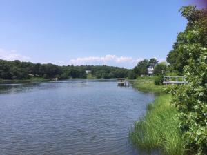 a view of a river with trees in the background at Bay Breeze Escape—Pool, Game Room Views in Centerville