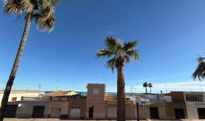 a group of palm trees in front of a building at Fina beach in Nules