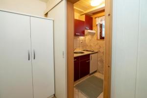 a small kitchen with a sink and a counter at Apartment Kikelj in Bohinj +31 photos