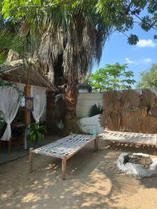 two wooden benches sitting under a palm tree at Tanas in Khawāsa