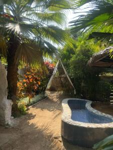a garden with a palm tree and a swimming pool at Tanas in Khawāsa