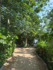 a dirt road with trees on the side of it at Tanas in Khawāsa