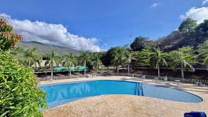a swimming pool with palm trees and a mountain in the background at Citadela Di Sole Tropical Escape in Santa Fe de Antioquia