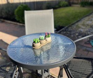 a blue table with threeotted plants on top of it at 1 bed room - Cozy unit in Cheltenham