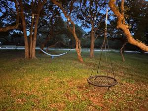 a swing hanging from a tree in a park at Prickly Pear - Rustic Cabin in New Braunfels