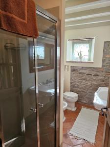 a bathroom with a shower and a toilet and a sink at Sogni nel Bosco in Varsi +65 photos