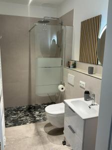 a bathroom with a shower and a toilet and a sink at Gästehaus Schinna in Stolzenau