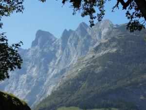 a view of a mountain range with trees at Landgasthof Tännler in Innertkirchen