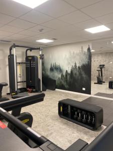a gym with a painting of trees on the wall at Maison Poluc - Le Petit Chalet in Champoluc
