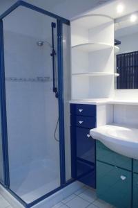 a bathroom with a shower and a sink at NTBM36104-FeWo-Swalkennest in Neue Tiefe Fehmarn +7 photos