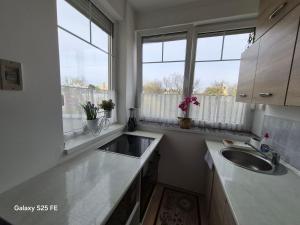 a kitchen with a sink and two windows at Zafir Luxory in Kaposvár +32 photos