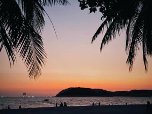 a sunset on the beach with a palm tree at Aura Bluewave Beach House, Chenang in Pantai Cenang