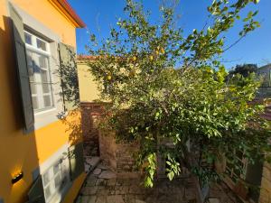 a lemon tree in front of a building at Kavcıoğlu Rooms in Urla