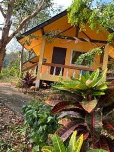 a yellow house with a lot of plants in front of it at Elephant garden2 in Trat