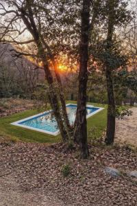 a swimming pool in the middle of a park with trees at Cosy Home Stay in Mimet