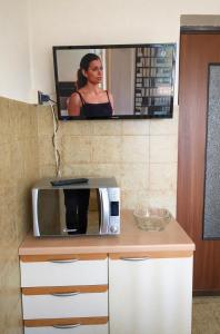 a microwave on a counter with a tv above it at Casa Mariarosa in Maccagno Inferiore