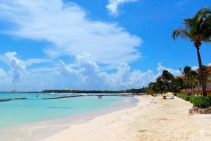 a beach with a palm tree and the ocean at Beautiful apartment, prime location, beach 2 minutes away in Puerto Aventuras