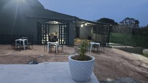 a potted plant sitting on a table in front of a house at Espaço Vip in Brasília +11 photos