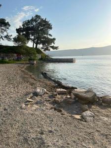 a beach with a tree and some rocks and water at Holiday home Lavande in Tivat