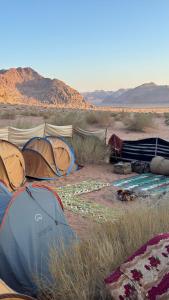 a group of tents in a field in the desert at Leen Luxury Camp in Disah