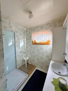 a bathroom with a shower and a sink at Cozy House by the Lake in Vestvågøya +20 photos