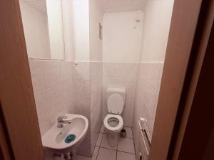 a small bathroom with a toilet and a sink at Gästehaus Nachtigall in Gädheim