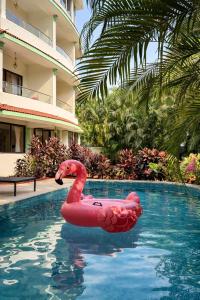 a pink float in a swimming pool next to a building at The Elysian Morjim 150 Meters to Morjim Beach in Morjim