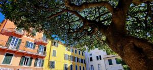 a tree in front of a yellow building at Piazzetta della Torre in Chiavari