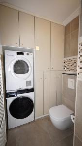 a bathroom with a washing machine and a toilet at Anvers Apartment in Antwerp +50 photos