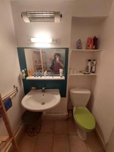 a bathroom with a sink and a toilet and a mirror at Studio petite perle in Bargemon