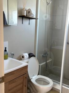 a bathroom with a toilet and a sink and a shower at Casa de Melinka in Mejillones +8 photos