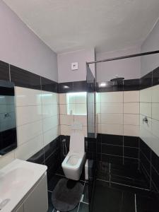 a bathroom with a toilet and a sink at Apartment N6 Shkoder in Shkodër +15 photos