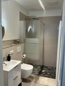 a bathroom with a toilet and a sink and a shower at Gästehaus Schinna in Stolzenau