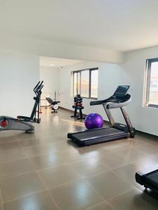 a gym with several exercise bikes and a purple ball at Luxury Studio Apartment in Ilado