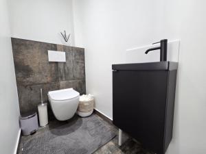 a bathroom with a toilet and a sink at Appartement Dora in Villiers-sur-Marne