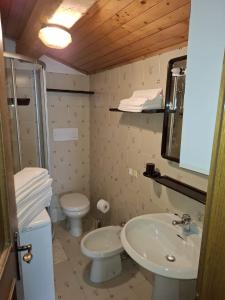 a bathroom with a toilet and a sink at Campiglio Trilocale Monte Spinale in Madonna di Campiglio