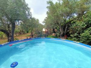 a large blue swimming pool with trees in the background at Golden Camp in Falerna